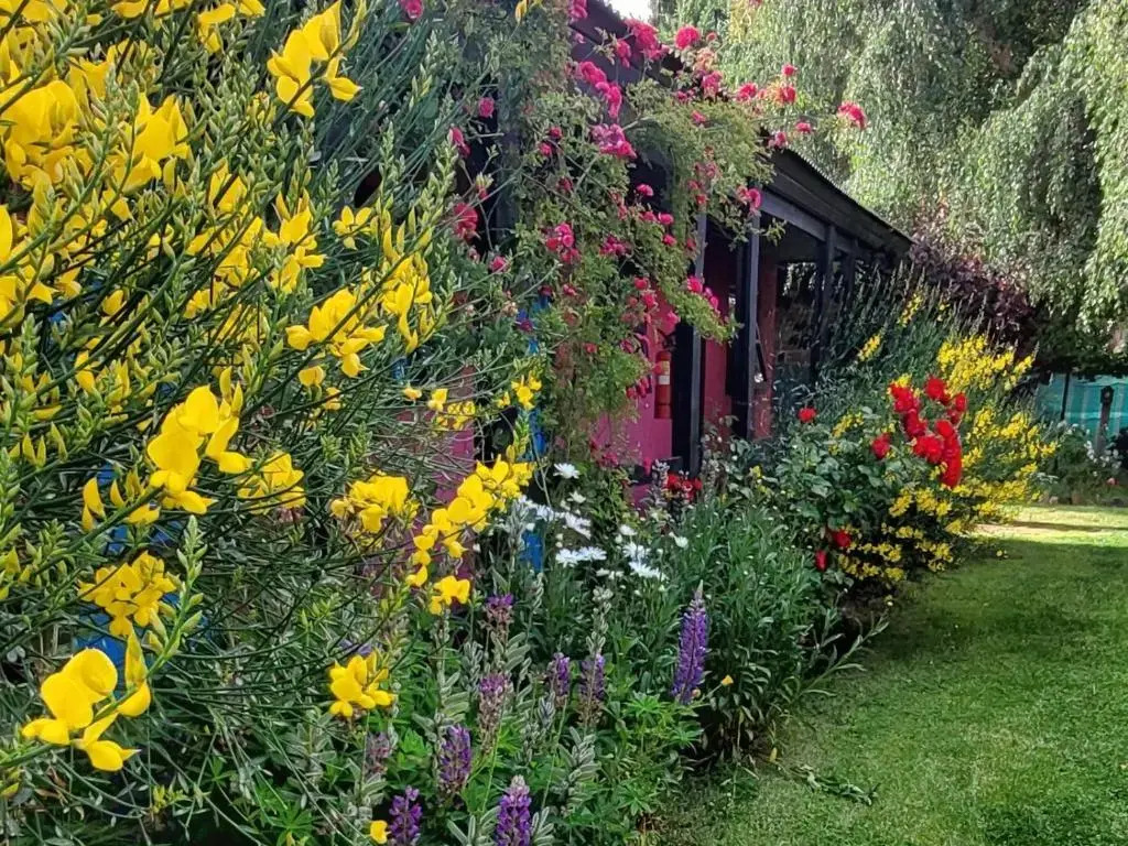 Lago Argentino Hostel