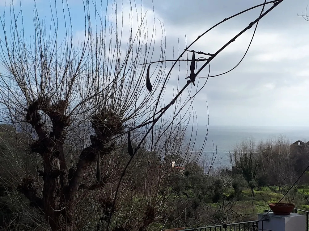 Marechiaro15