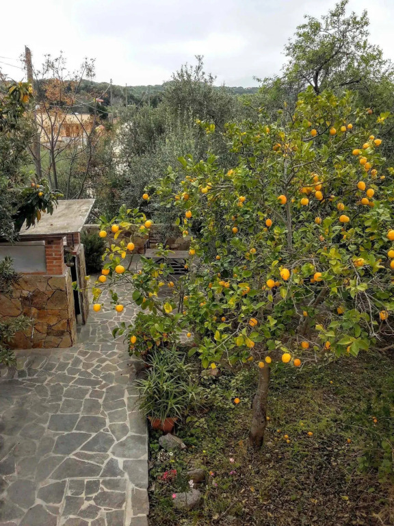 Villa Arancio 2