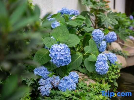 Xiangshan Morning Mountain Evening Sea Homestay