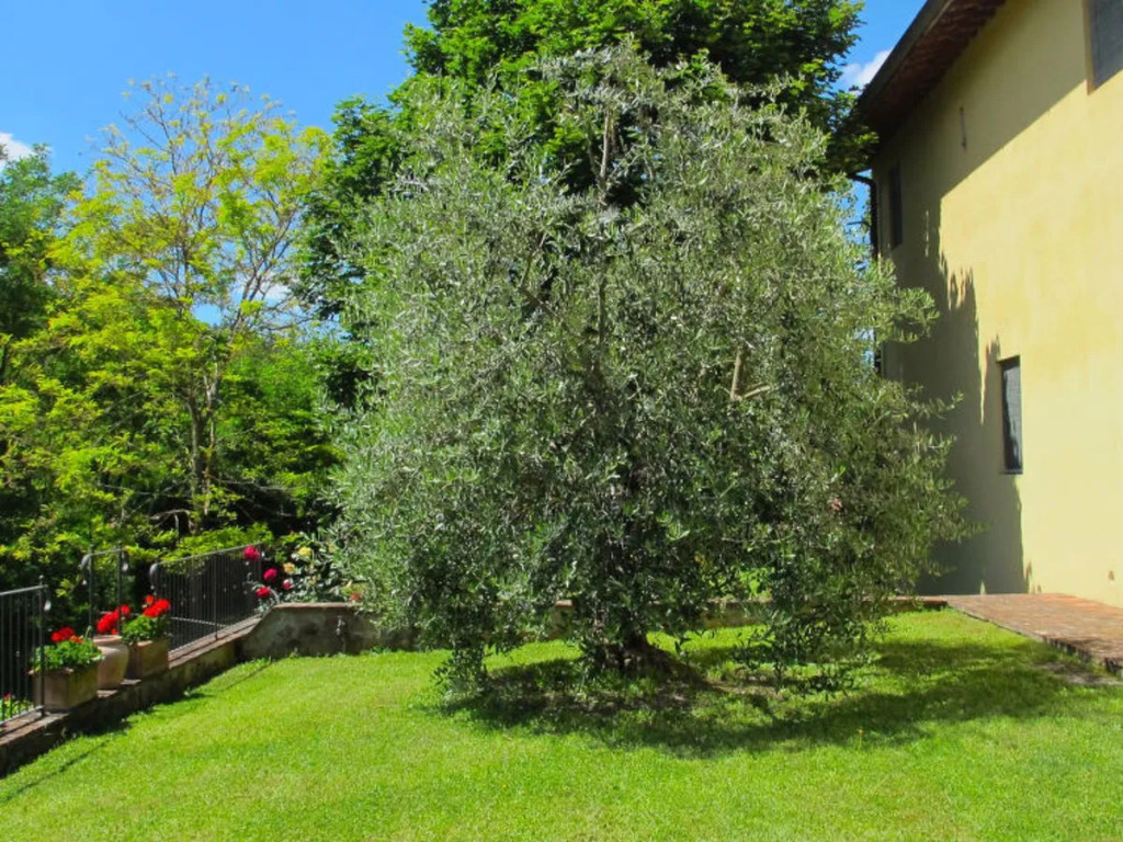 Locazione Turistica Rosmarino