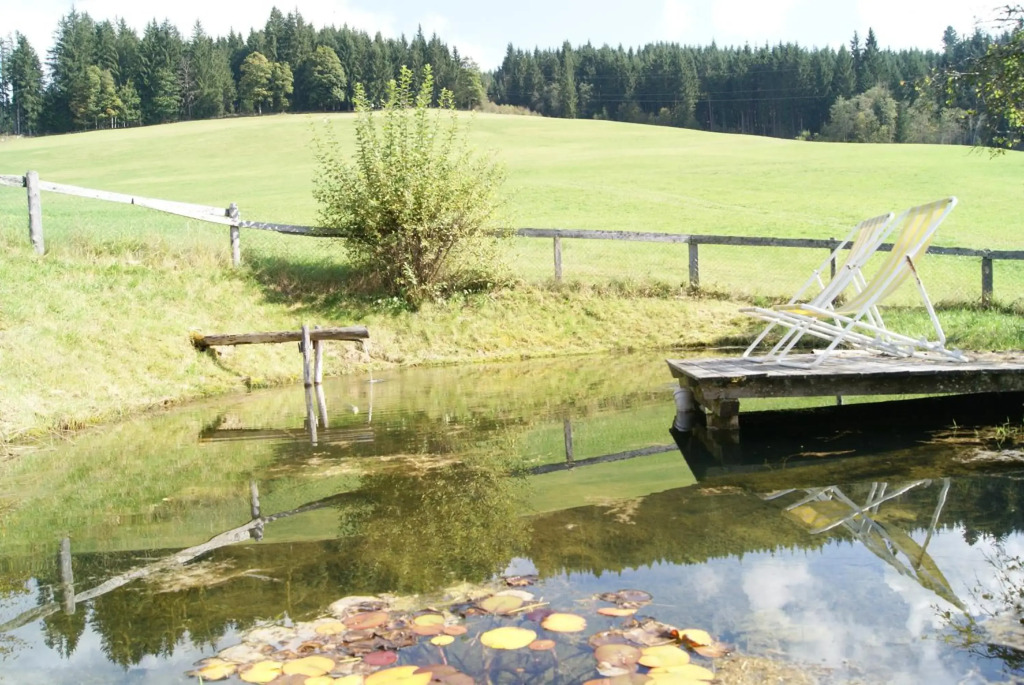 Steinerbauer