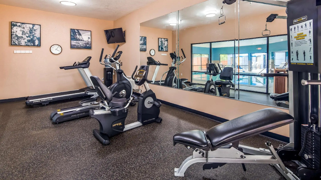 Best Western Plus McDonough Inn & Suites