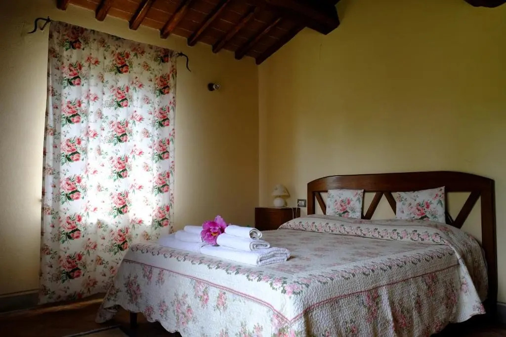 Canto De Bacci