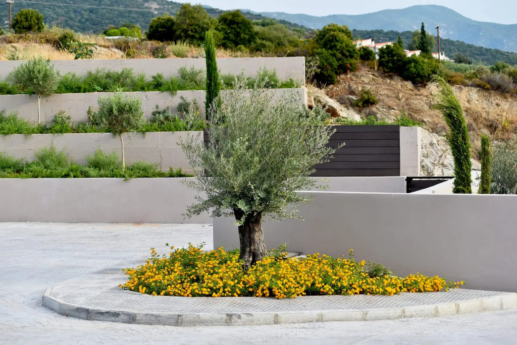 Anasa Luxury Resort