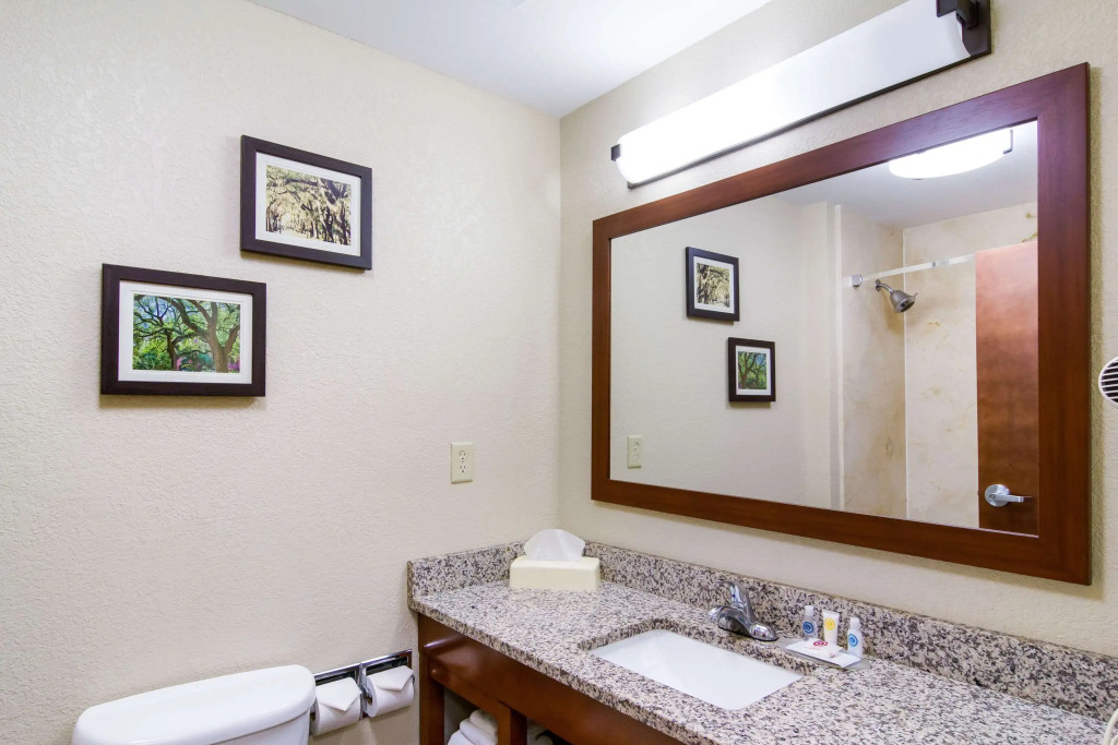Comfort Inn Blackshear Hwy 84