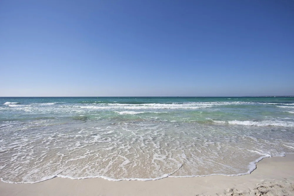 Apartaments Posidonia