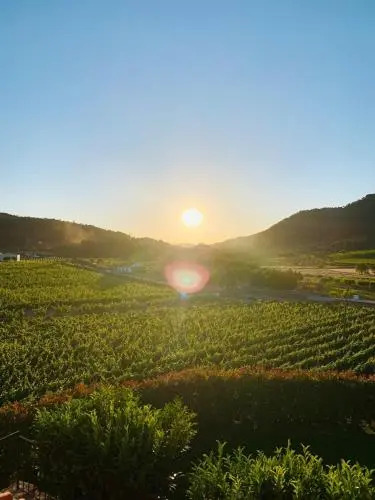 Quinta do Palame