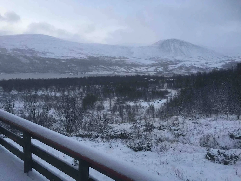 Live in the Realm of the Musk Oxen on Dovrefjell