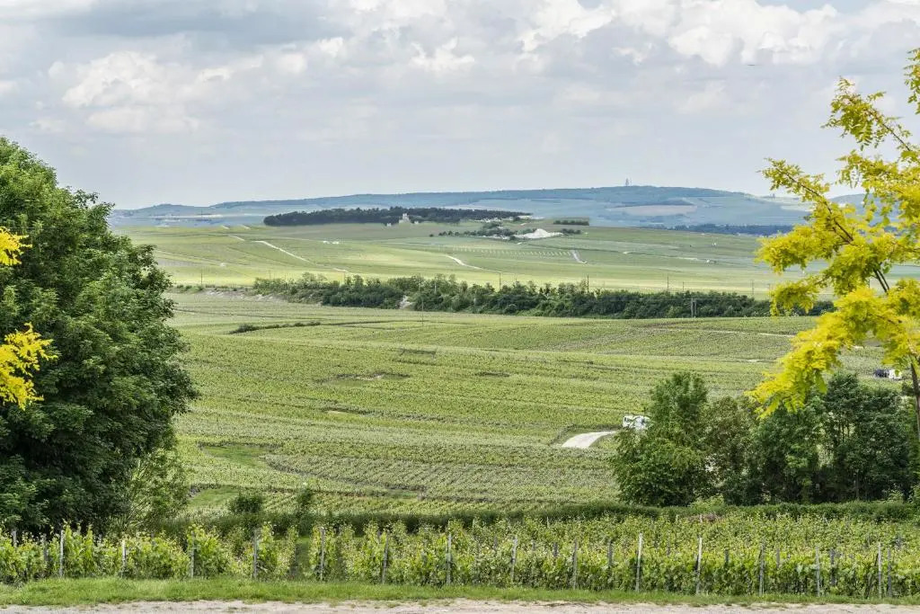 Gîte Rilly-la-Montagne