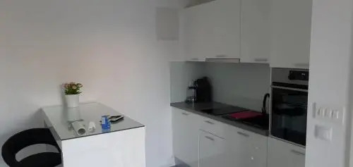 Apartment Vinko