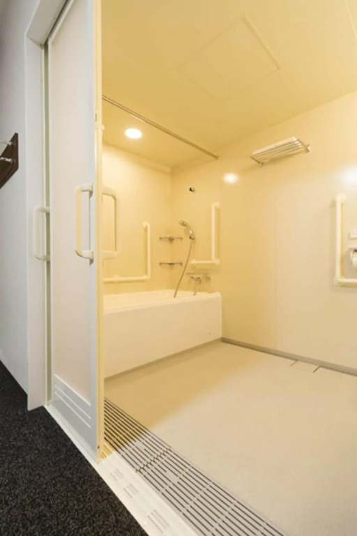 Dormy Inn Premium Kanda