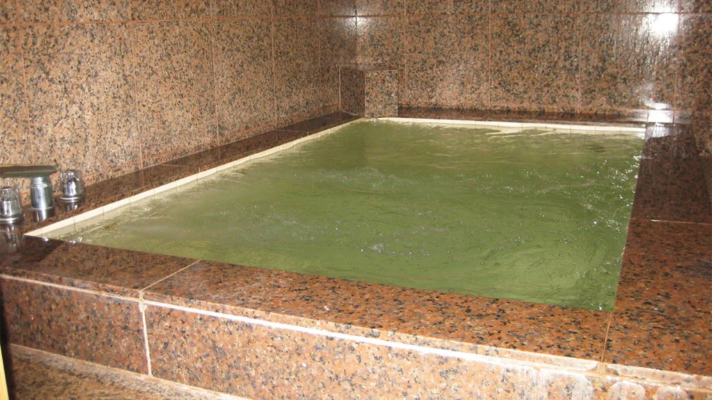 Tokiwa Ryokan