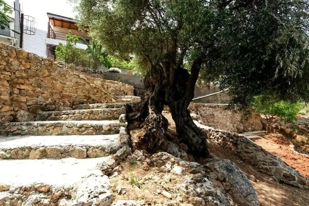 Aoria Traditional House With Stuning Mountain View