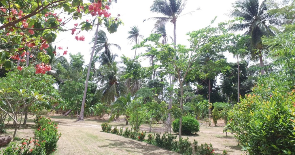 Aliyah Garden House