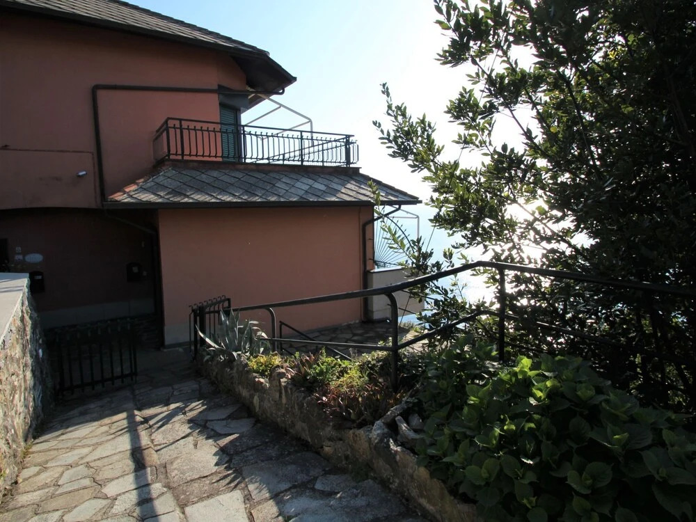 Lambrusca Moneglia in Moneglia