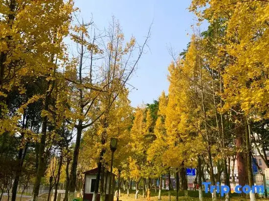 "Ya'an Jinyue · Manman Yucheng Private Enjoy Hotel (Ya'an Railway Station People's Hospital Branch