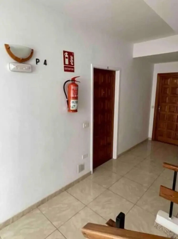 Estudio Gavota