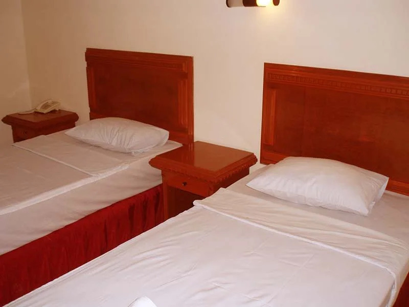 Basana Inn