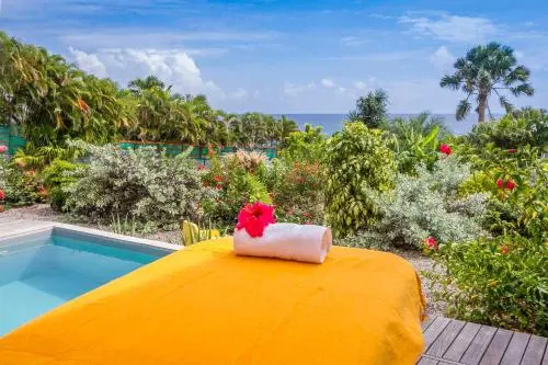 Villa Iguane House
