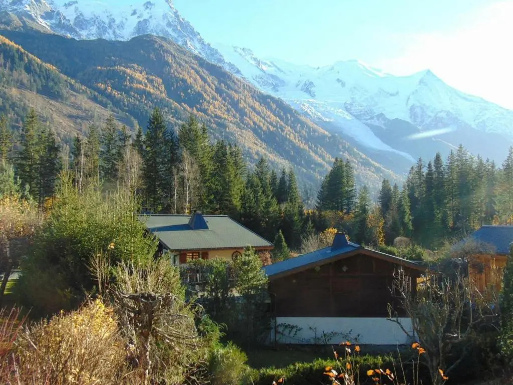 Appartement Chamonix-Mont-Blanc, 2 pièces, 4 personnes - FR-1-517-19