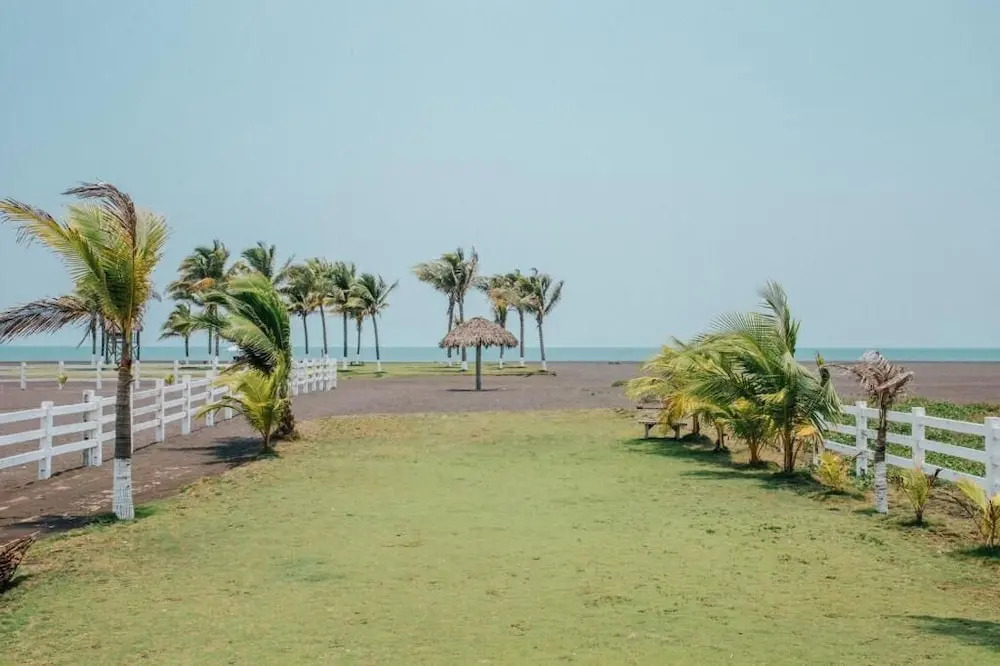 Los Olivos la Playa
