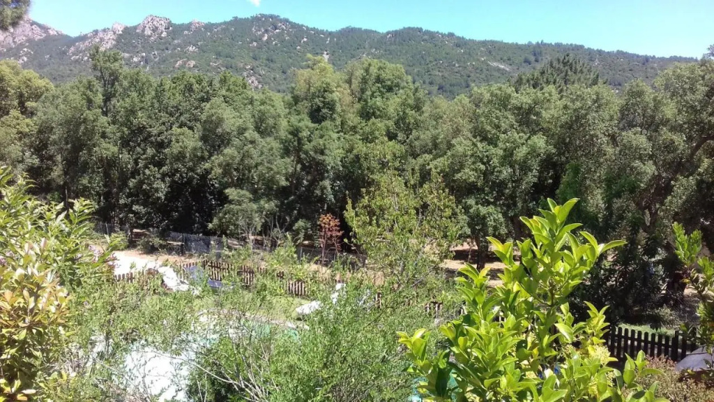 Gites Albareddu Conca