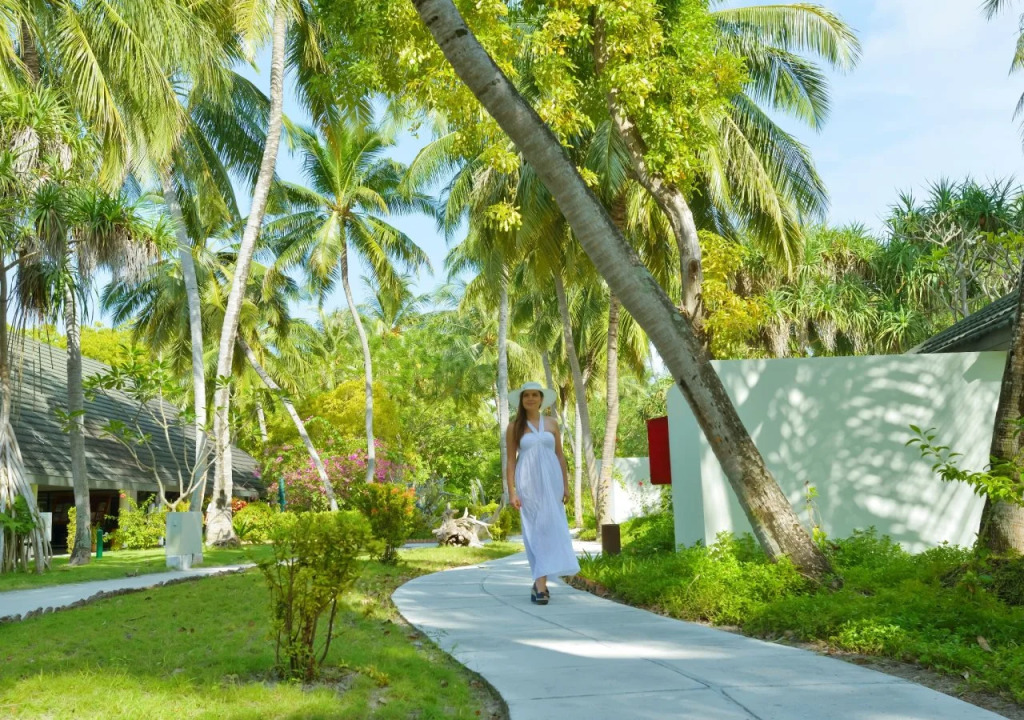 Villa Haven Resort Maldives - 50 Percentage Off Seaplane for 4 Nights and Above