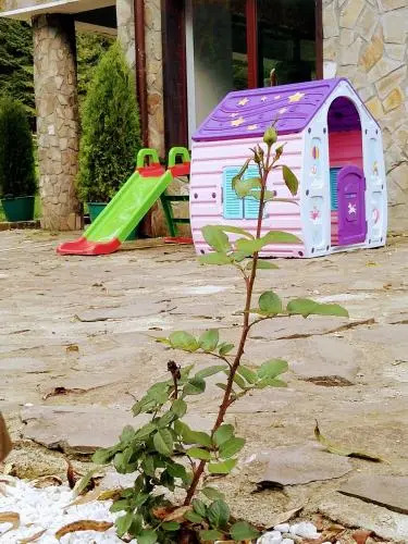 Casa cu flori