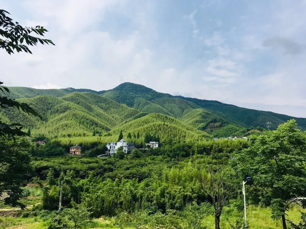 Moganshan Wild House