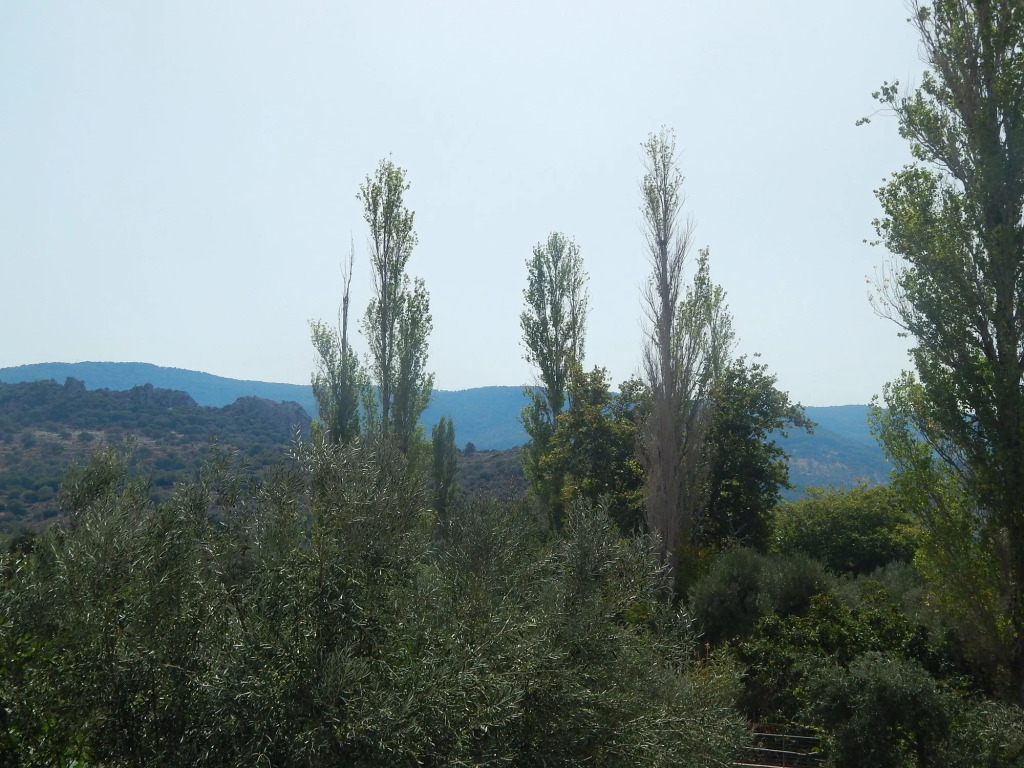 Anaxos Garden