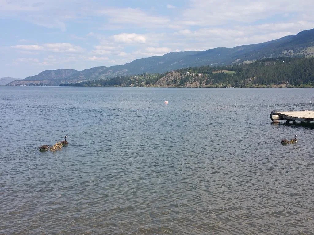 Kokanee Beach Resort Motel