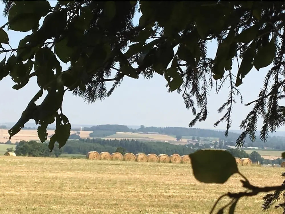 Le Moulin des Bruyères
