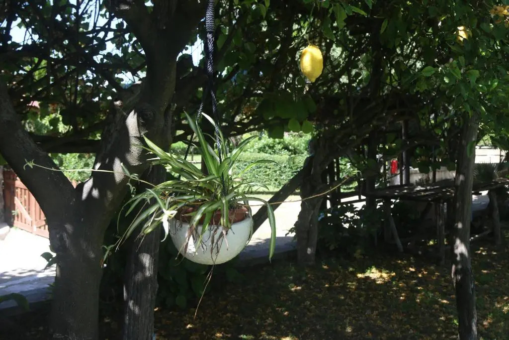 Emy's Country House