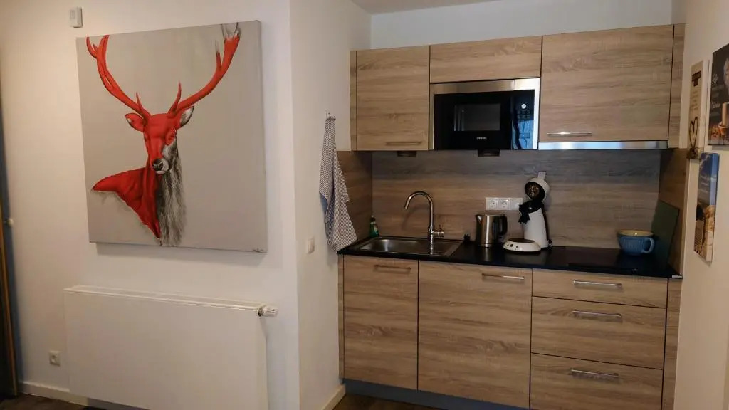 Maurers Schlierseetraum 6, Studio 455 mit 42 qm neu renoviert, Erdgeschoss mit eingezäunter Terrasse in ruhiger Lage am Kirchbichlweg 8