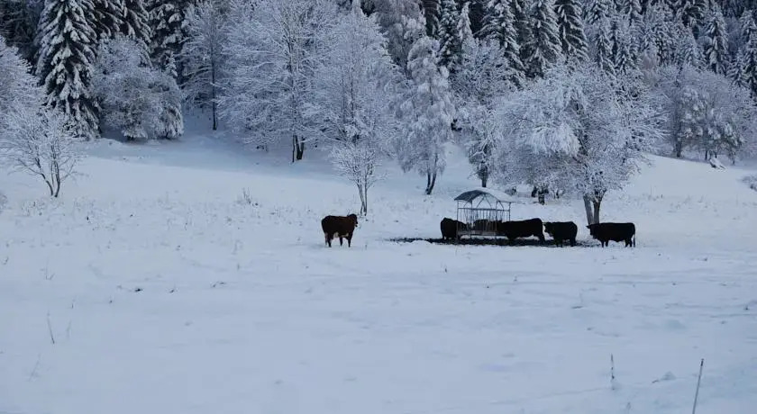 Chalet den Haut