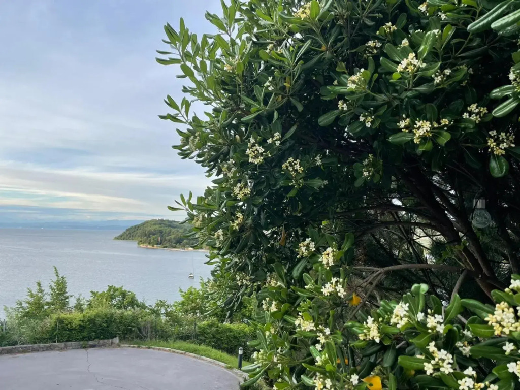 Villa Yadranka with Sea view