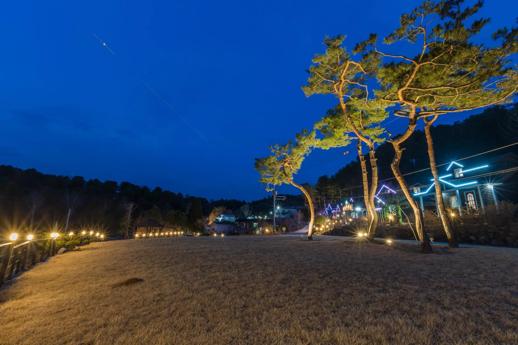 Gapyeong Tree House