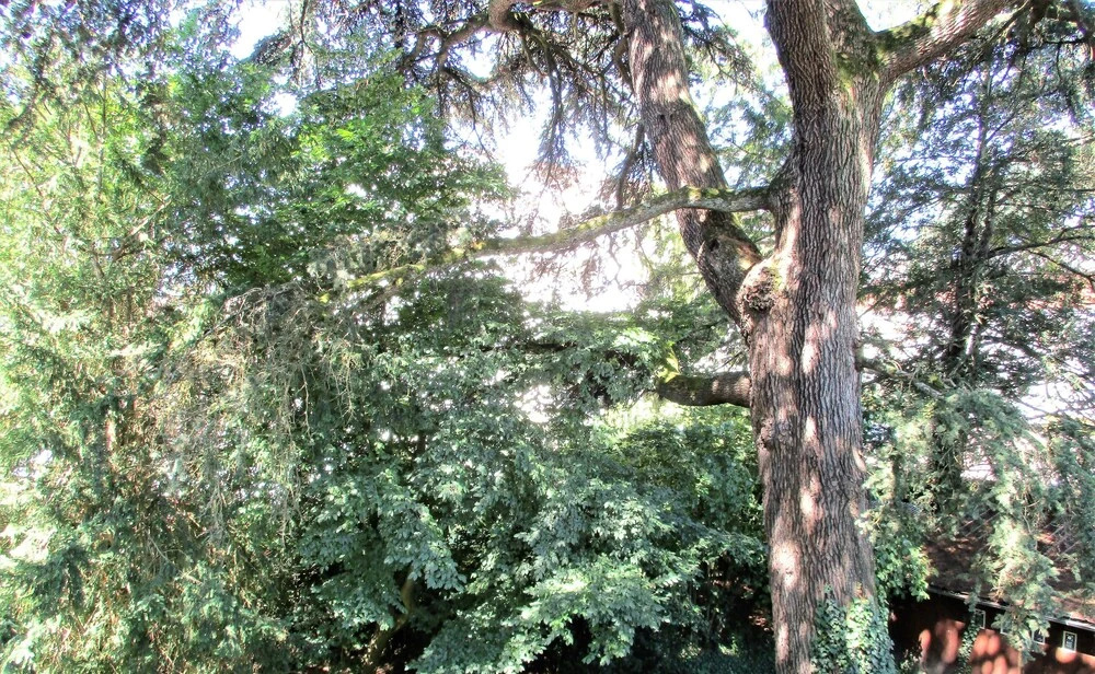 Pont St Martial