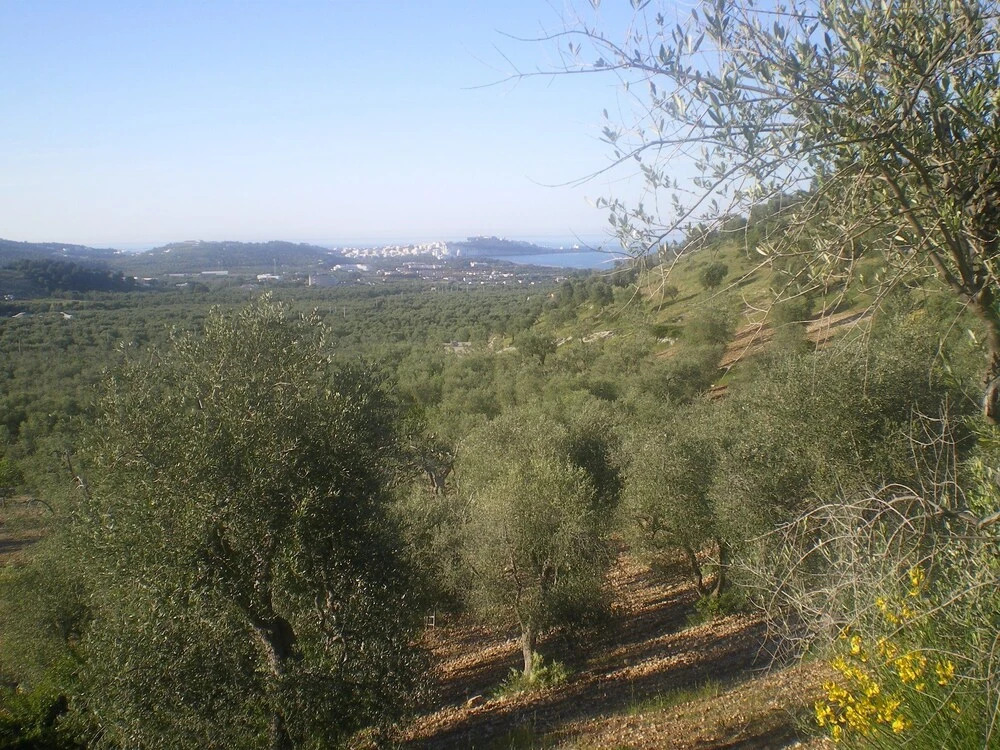 B&B Macchiaria