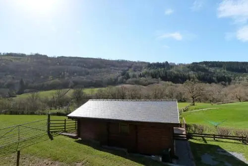 Holiday Home Caban Coed y Betws