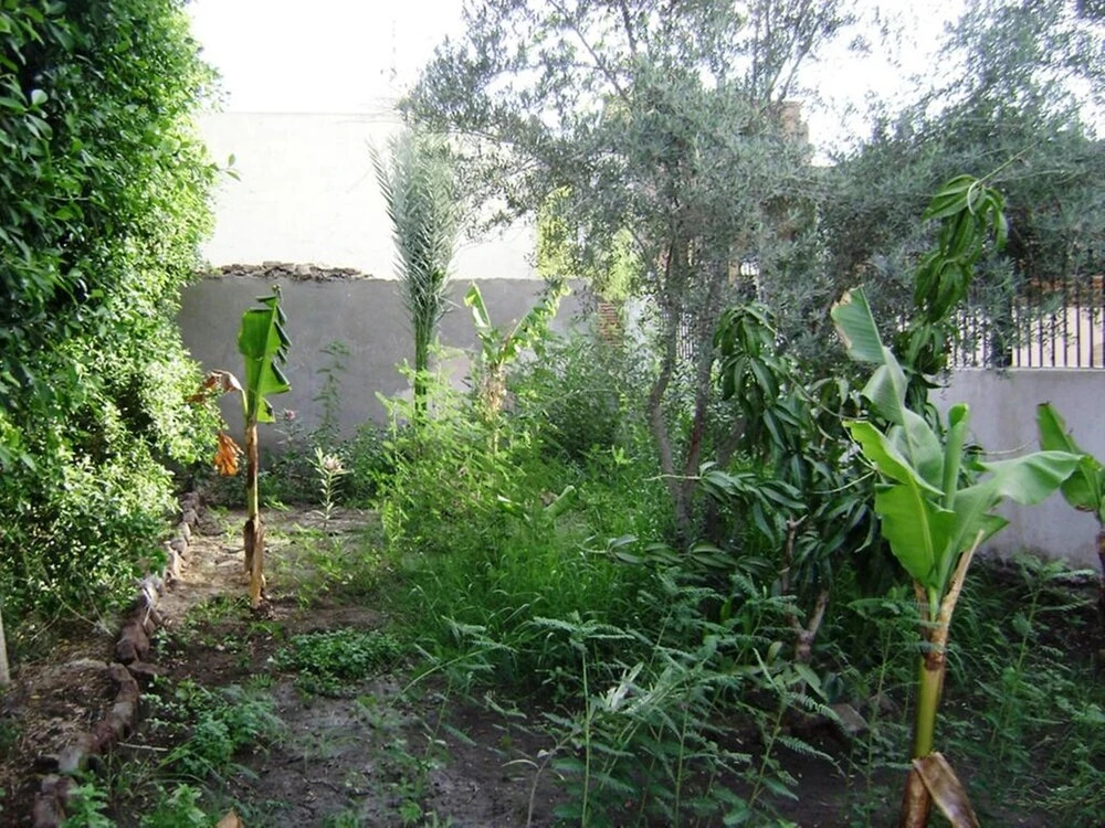Villa Nile House Luxor