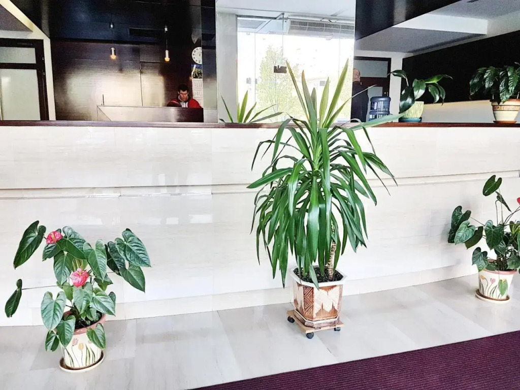 Best Apartments in Most City, River View