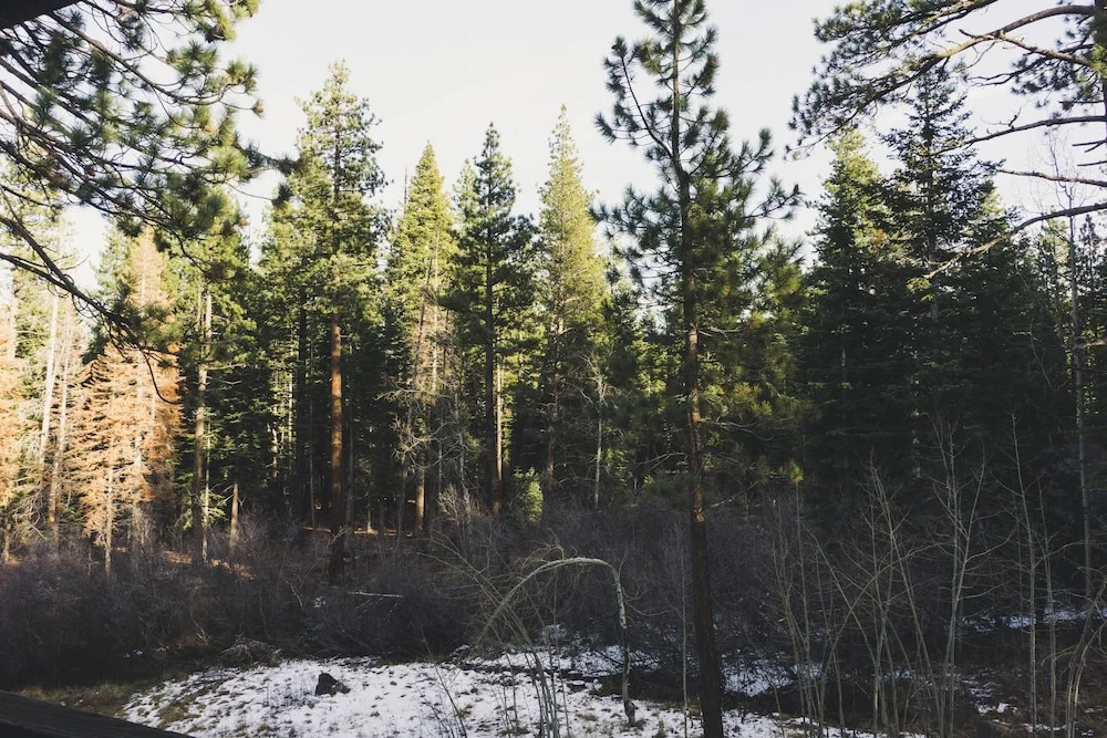 3048 Aspen Grove
