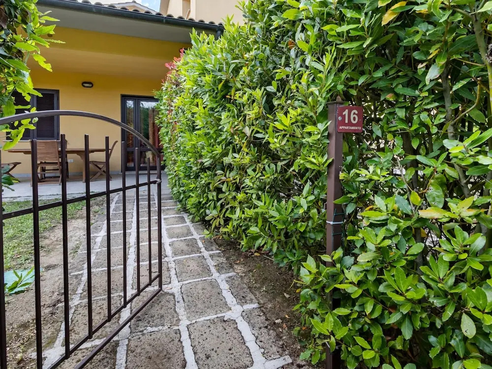Gorgeous Holiday Home in Sorano With Swimming Pool
