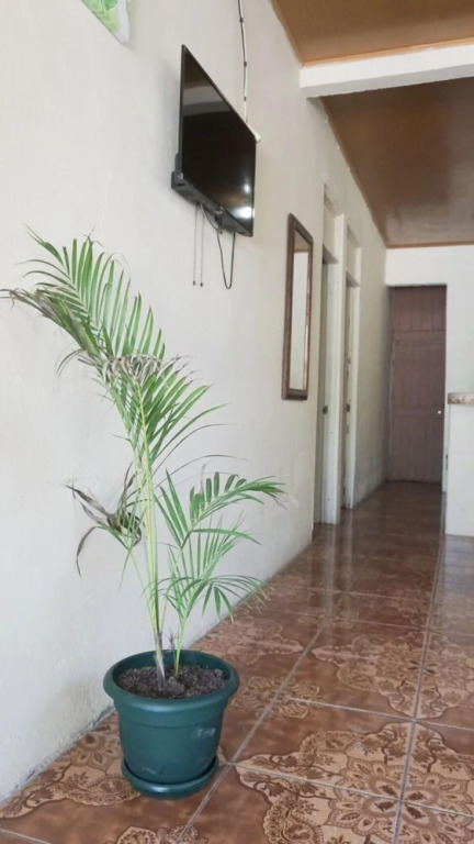 Guesthouse Morpho CR