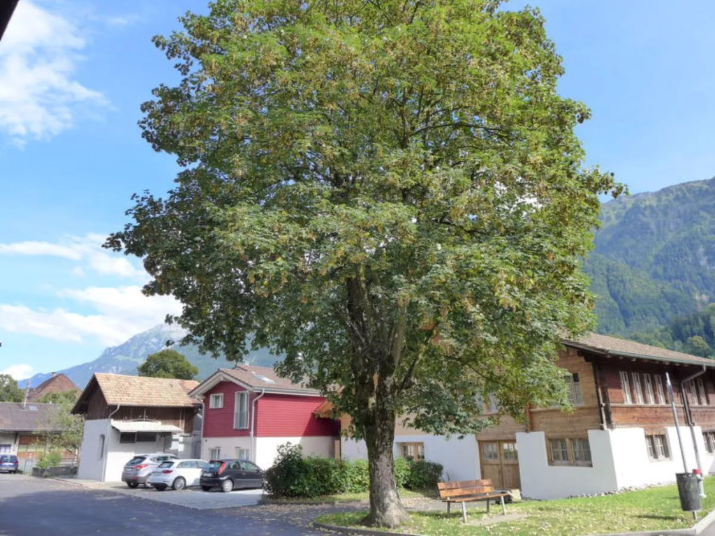 Apartment Tilia Bönigen
