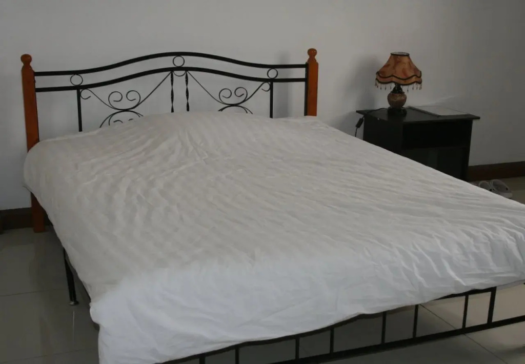 Tanaka Guest House
