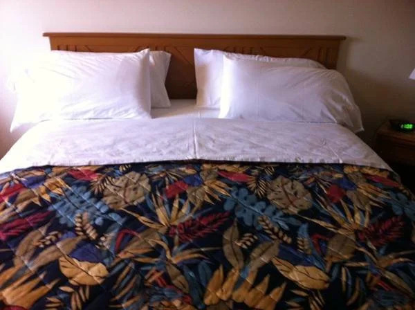 D-Lux Budget Inn Lemont