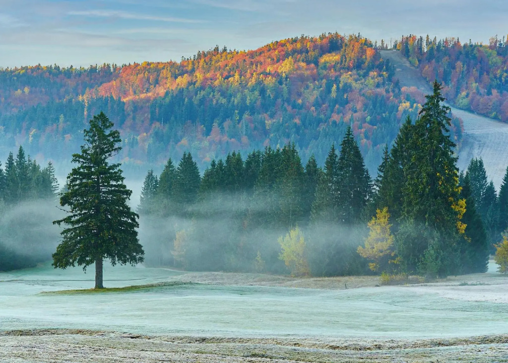 Dependence Hotel Golf